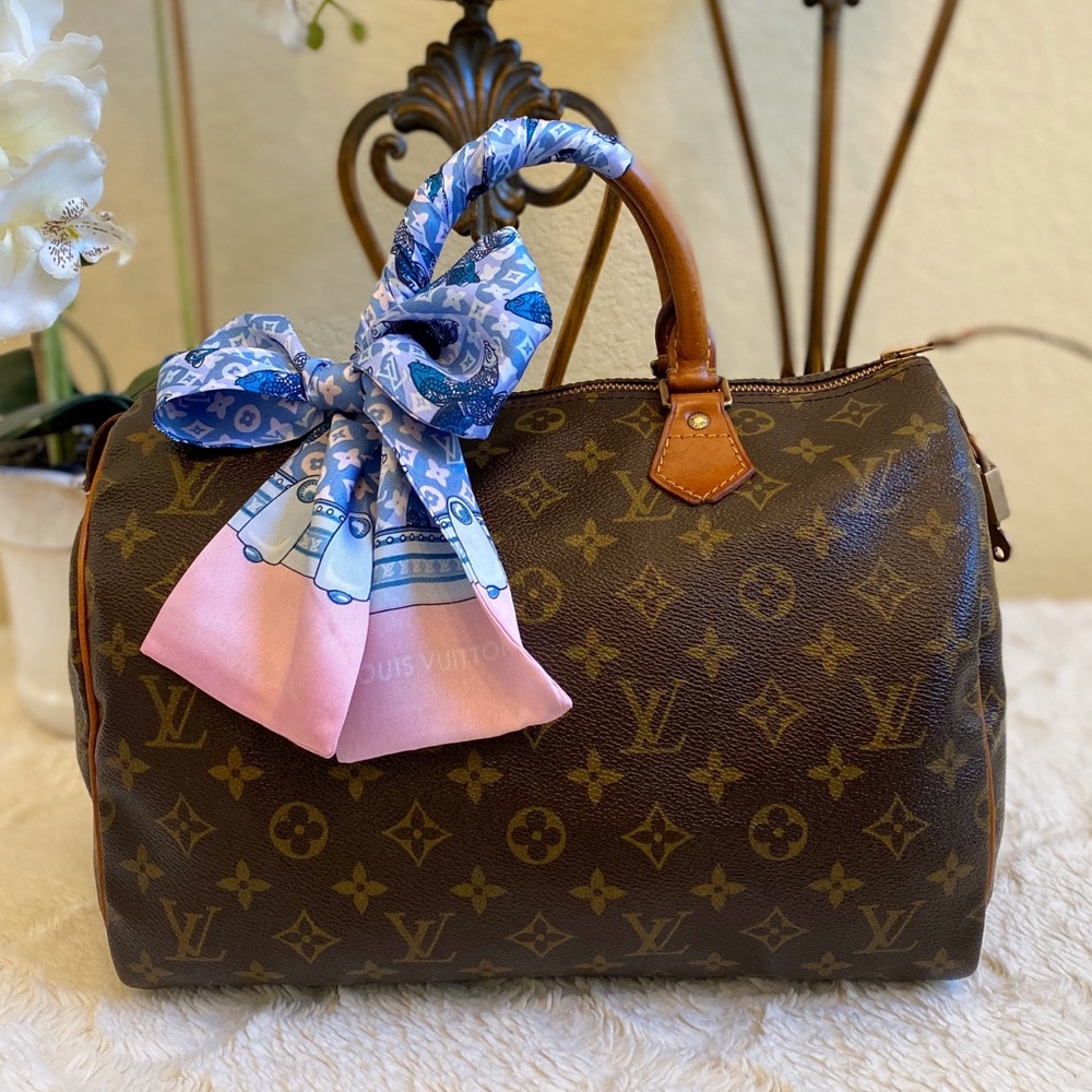 Louis Vuitton Speedy 30